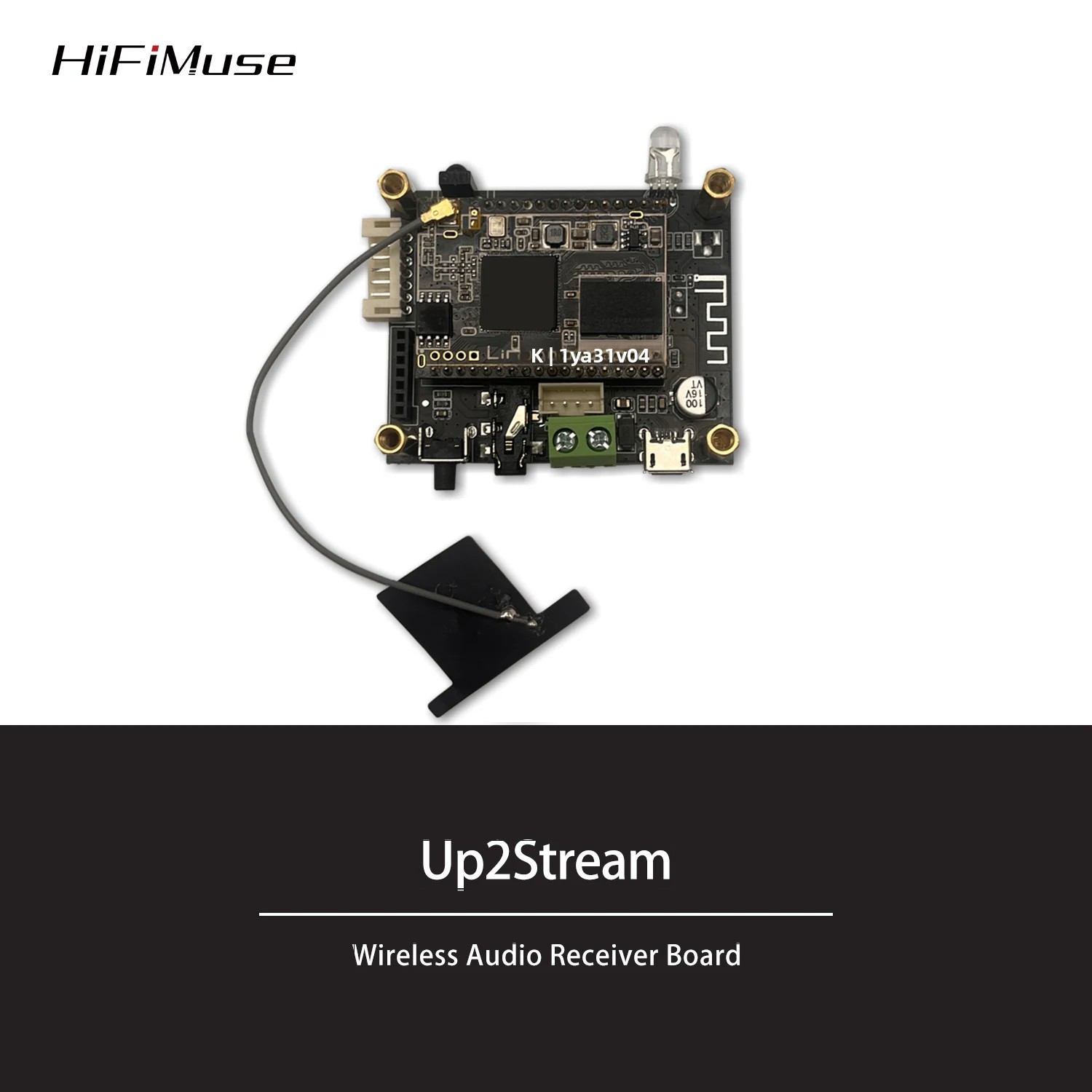 Microphone Module - D10 WiFi ve Bluetooth 5.0 Ses